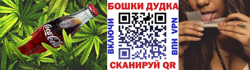 Canna-Cookies марихуана  цена   Дмитровск 
