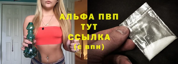 стаф Волоколамск