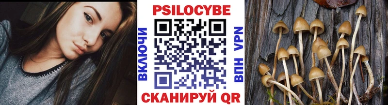 Псилоцибиновые грибы Cubensis  мега маркетплейс  Дмитровск 